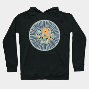 Diatom - Lindavia comensis (scientific) Hoodie